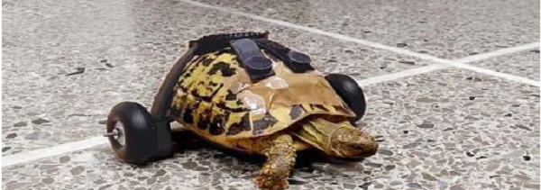 6901c8f1b849e469254d298926f9aa70.png 6901c8f1b849e469254d298926f9aa70.png